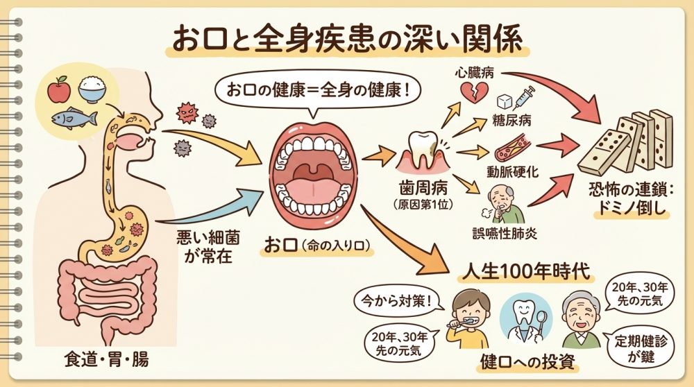 お口と全身疾患の関係